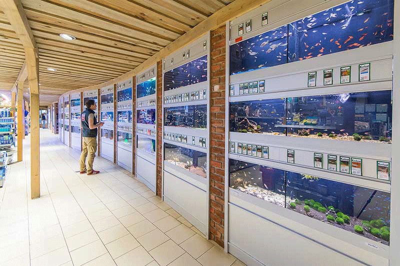 Aquaristik Zoo Knutzen Kiel