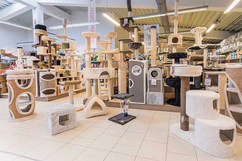 Hund und Katze bei Zoo Knutzen in Kiel Katzenbaum - bei Zoo Knutzen in Kiel