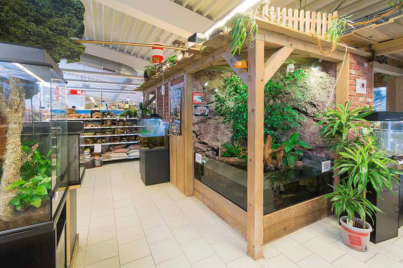 Terraristik - Zoo Knutzen in Kiel Terraristik - Zoo Knutzen in Kiel