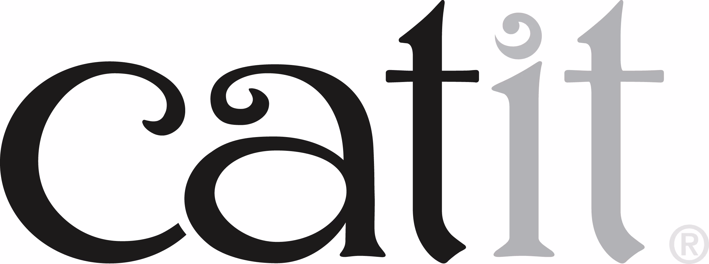 Stylized text logo reading 'catit' with decorative curls on the letters 'c' and 'a'.