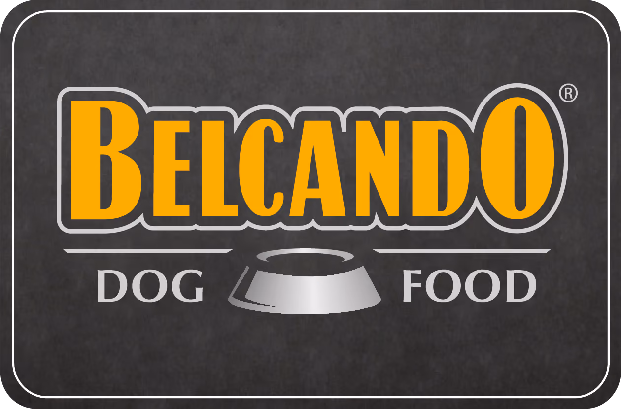 Belcando logo in yellow with a silver dog bowl and the words Dog Food on a dark background.